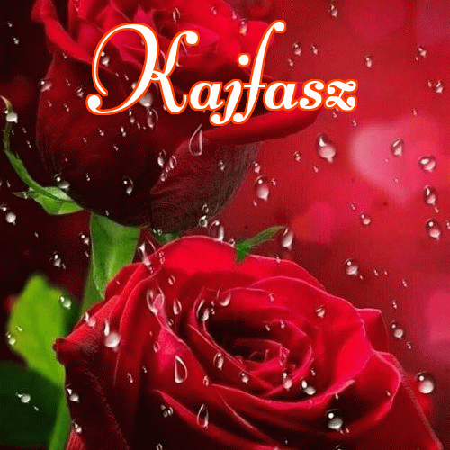 Miłego wieczoru i dobrej nocy życzę!。 