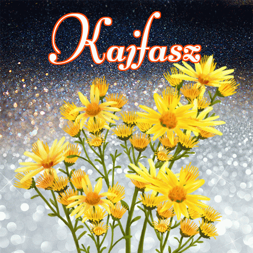 Miłego wieczoru i dobrej nocy życzę!。 