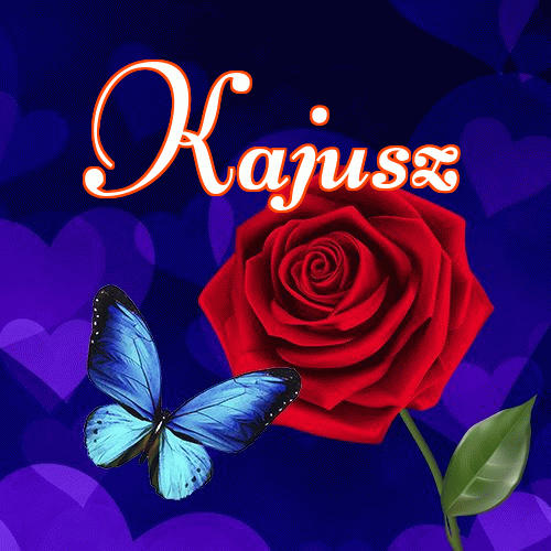 Miłego wieczoru i dobrej nocy życzę!。 