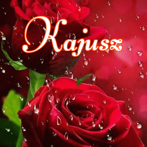 Miłego wieczoru i dobrej nocy życzę!。 