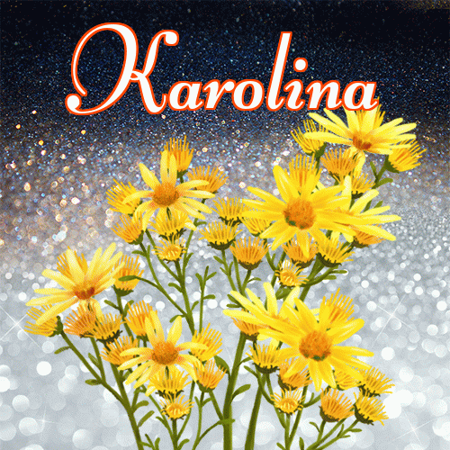 Miłego wieczoru i dobrej nocy życzę!。 