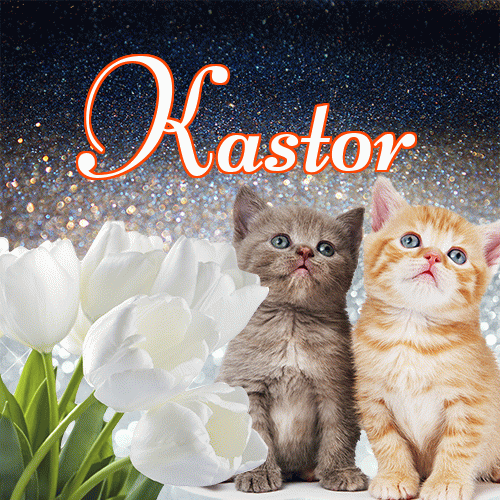 Miłego wieczoru i dobrej nocy życzę!。 