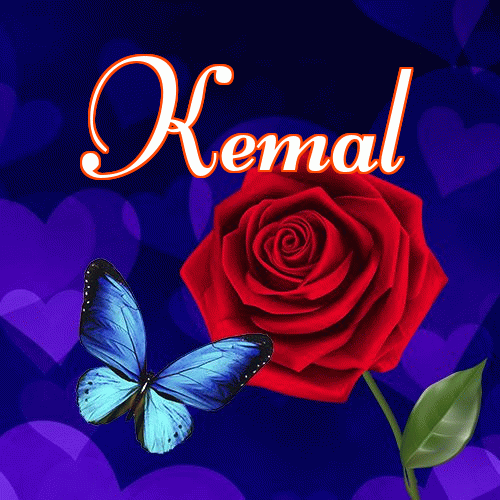 Miłego wieczoru i dobrej nocy życzę!。 