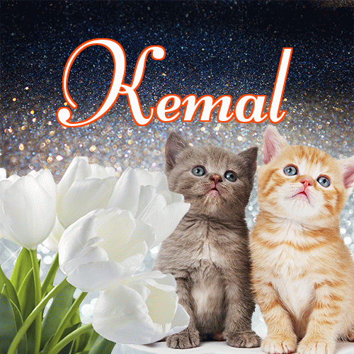 Miłego wieczoru i dobrej nocy życzę!。 