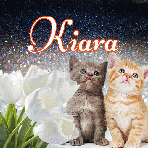 Miłego wieczoru i dobrej nocy życzę!。 