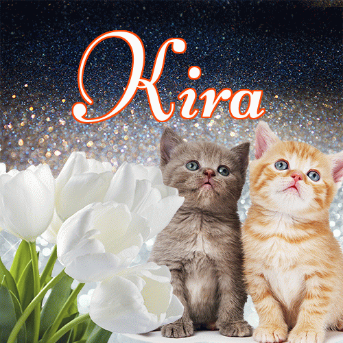 Miłego wieczoru i dobrej nocy życzę!。 