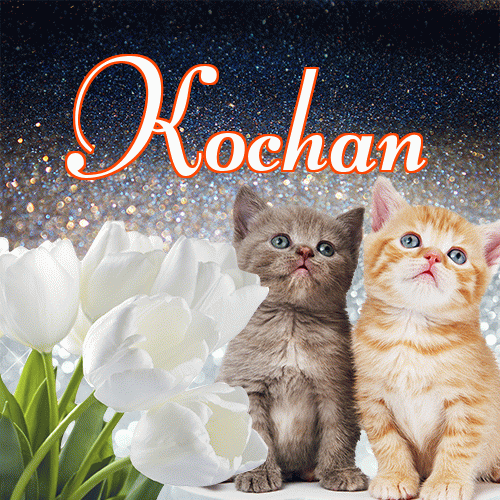 Miłego wieczoru i dobrej nocy życzę!。 