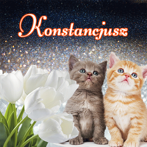 Miłego wieczoru i dobrej nocy życzę!。 