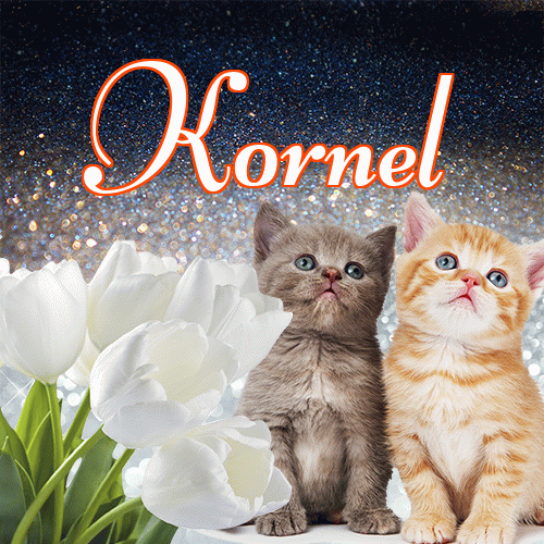 Miłego wieczoru i dobrej nocy życzę!。 