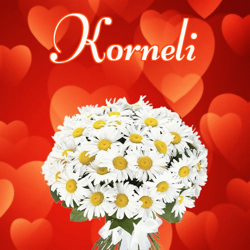 Miłego wieczoru i dobrej nocy życzę!。 