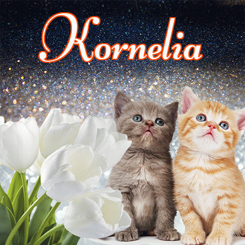 Miłego wieczoru i dobrej nocy życzę!。 