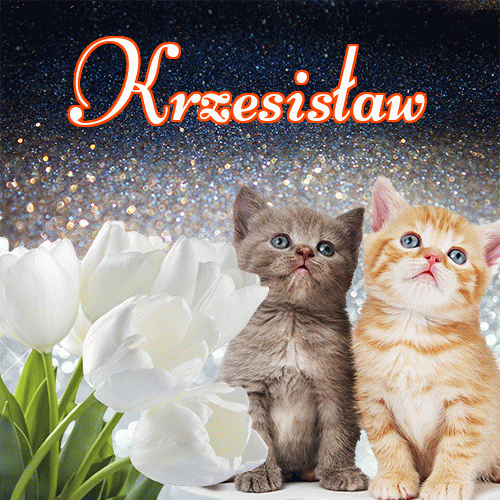 Miłego wieczoru i dobrej nocy życzę!。 