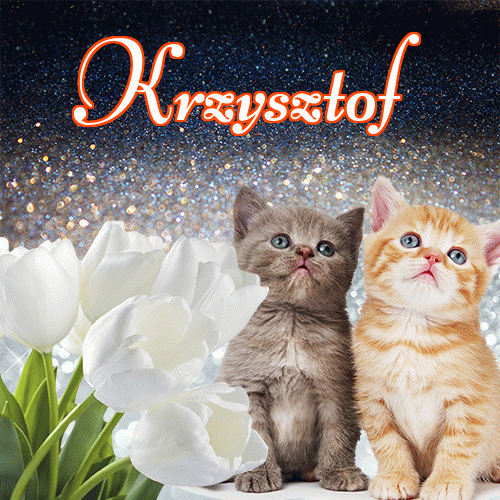 Miłego wieczoru i dobrej nocy życzę!。 