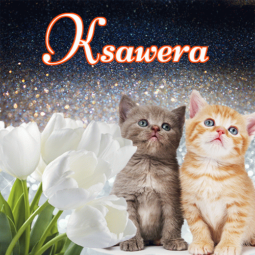 Miłego wieczoru i dobrej nocy życzę!。 