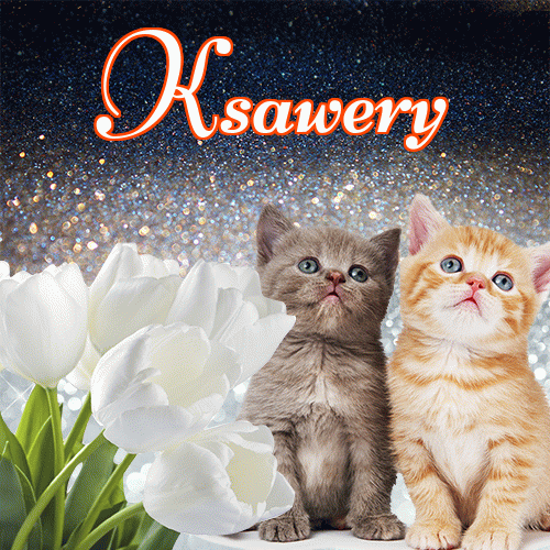 Miłego wieczoru i dobrej nocy życzę!。 