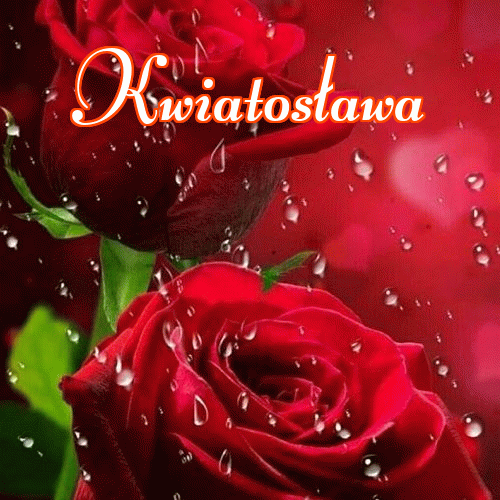 Miłego wieczoru i dobrej nocy życzę!。 