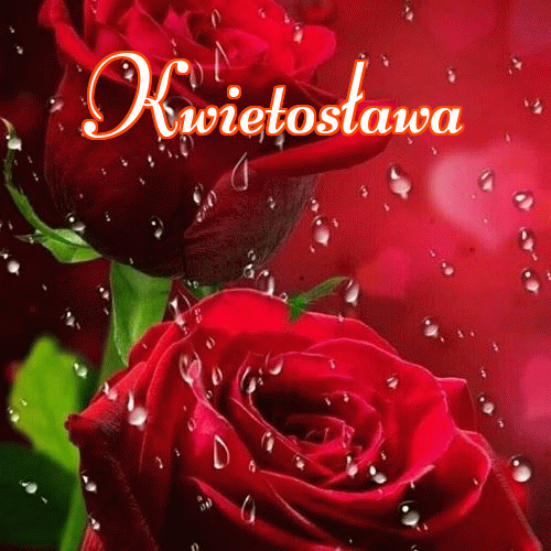 Miłego wieczoru i dobrej nocy życzę!。 