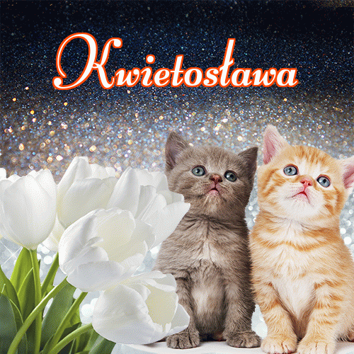 Miłego wieczoru i dobrej nocy życzę!。 