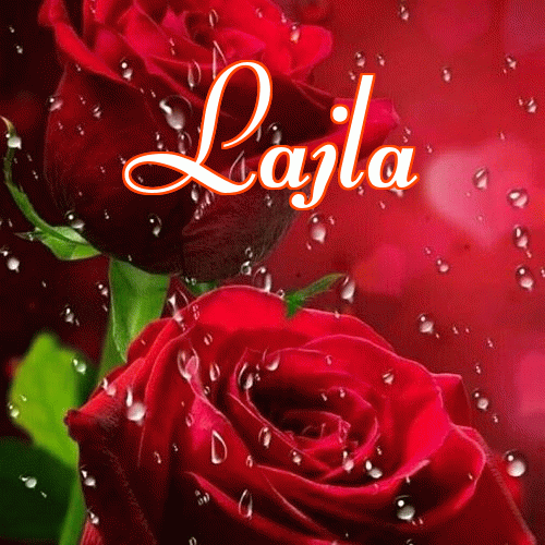 Miłego wieczoru i dobrej nocy życzę!。 