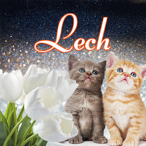 Miłego wieczoru i dobrej nocy życzę!。 