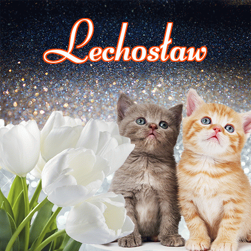 Miłego wieczoru i dobrej nocy życzę!。 