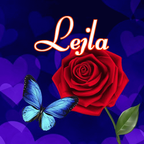 Miłego wieczoru i dobrej nocy życzę!。 