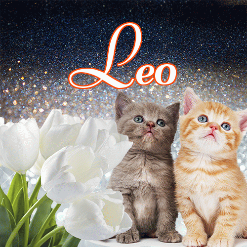 Miłego wieczoru i dobrej nocy życzę!。 