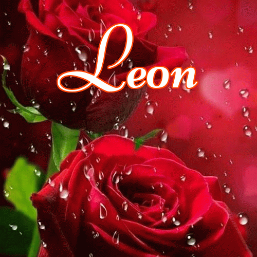 Miłego wieczoru i dobrej nocy życzę!。 