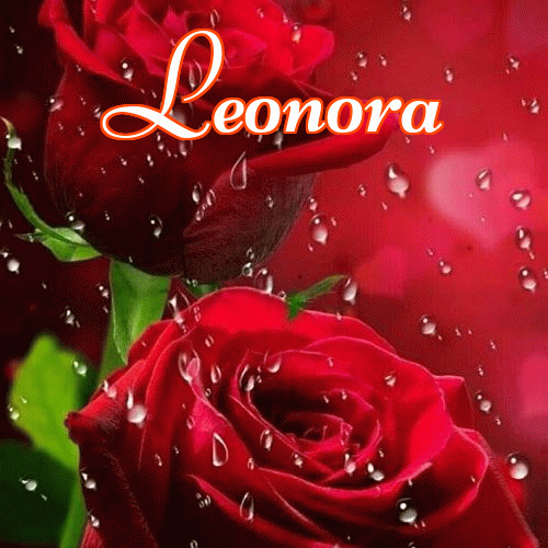 Miłego wieczoru i dobrej nocy życzę!。 