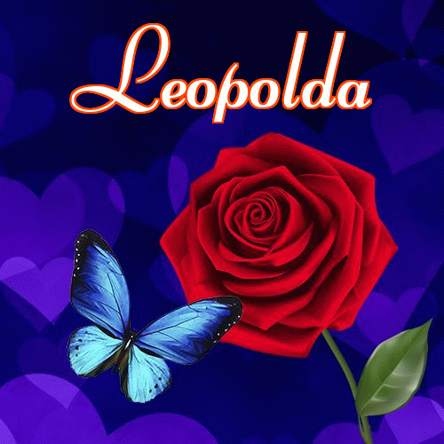 Miłego wieczoru i dobrej nocy życzę!。 