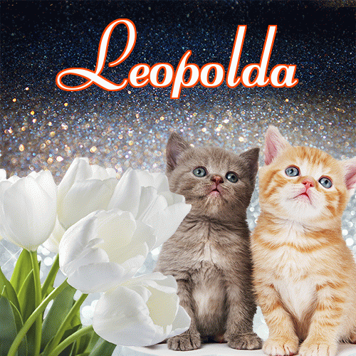 Miłego wieczoru i dobrej nocy życzę!。 