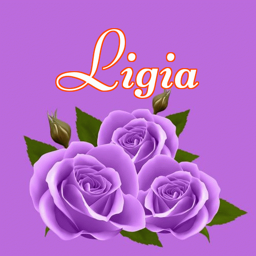 Miłego wieczoru i dobrej nocy życzę!。 