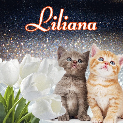 Miłego wieczoru i dobrej nocy życzę!。 