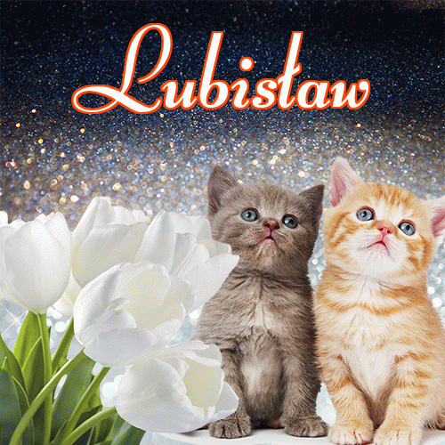 Miłego wieczoru i dobrej nocy życzę!。 