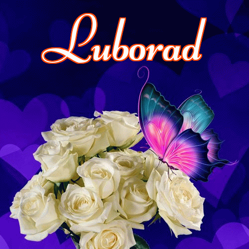 Miłego wieczoru i dobrej nocy życzę!。 