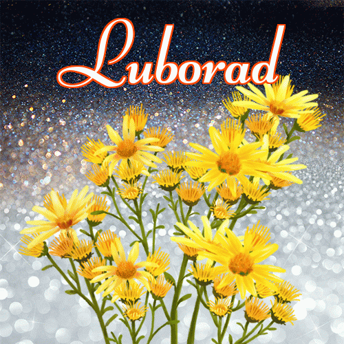 Miłego wieczoru i dobrej nocy życzę!。 