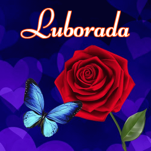 Miłego wieczoru i dobrej nocy życzę!。 