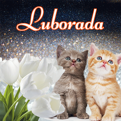 Miłego wieczoru i dobrej nocy życzę!。 