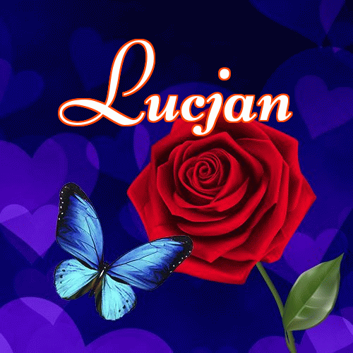 Miłego wieczoru i dobrej nocy życzę!。 