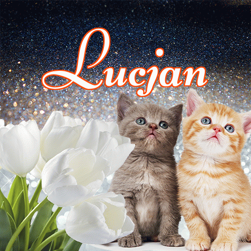 Miłego wieczoru i dobrej nocy życzę!。 