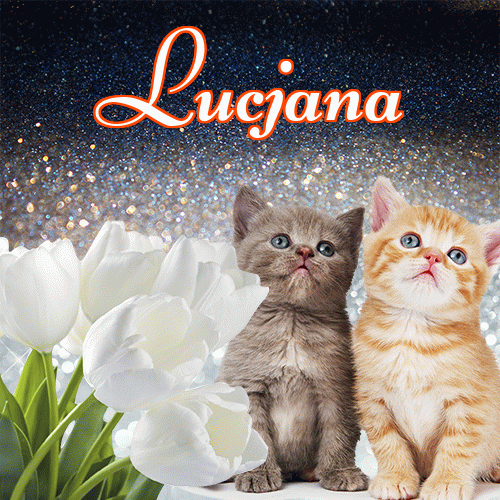 Miłego wieczoru i dobrej nocy życzę!。 