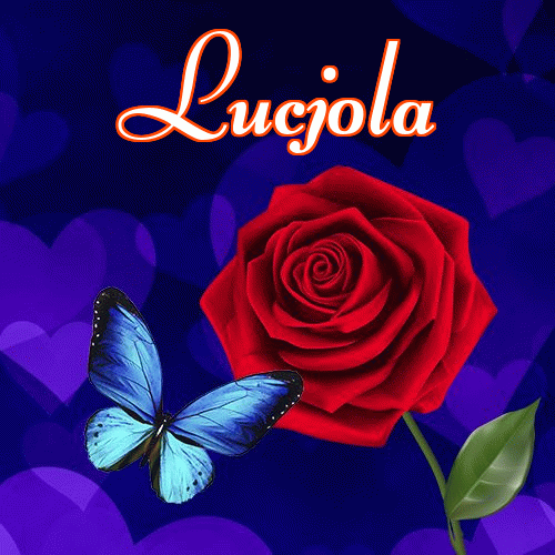 Miłego wieczoru i dobrej nocy życzę!。 