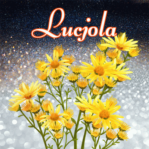 Miłego wieczoru i dobrej nocy życzę!。 