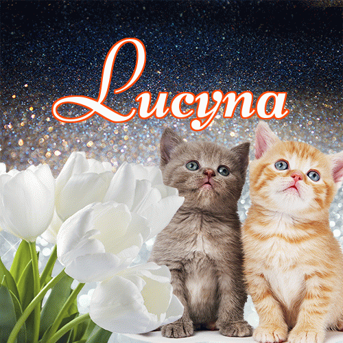 Miłego wieczoru i dobrej nocy życzę!。 