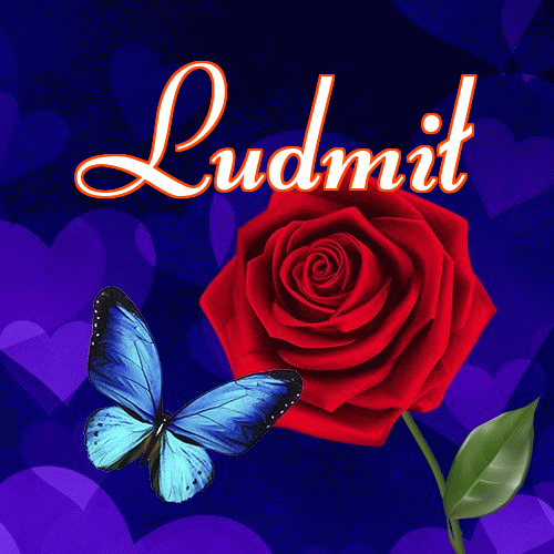 Miłego wieczoru i dobrej nocy życzę!。 