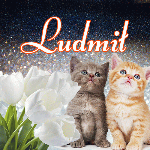 Miłego wieczoru i dobrej nocy życzę!。 