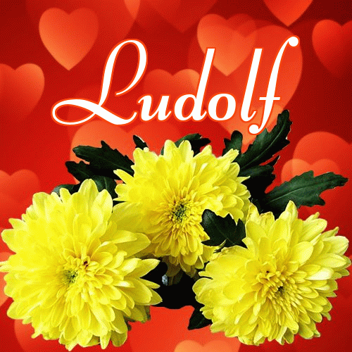 Miłego wieczoru i dobrej nocy życzę!。 