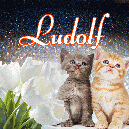 Miłego wieczoru i dobrej nocy życzę!。 