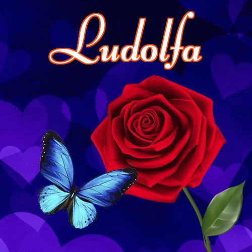 Miłego wieczoru i dobrej nocy życzę!。 