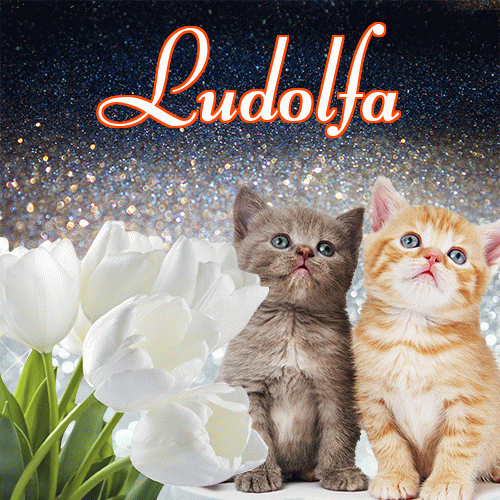 Miłego wieczoru i dobrej nocy życzę!。 